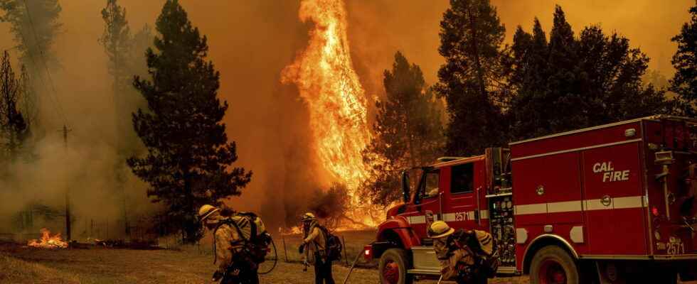 can the fires reach the national park