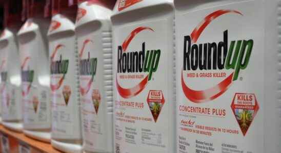 court reauthorizes Monsanto to import glyphosate and GMO corn