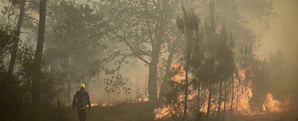 fire still raging in Landiras end of the disaster in