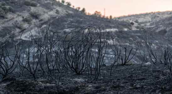 in the Arree mountains the fire under control about to