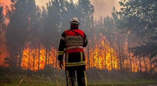 the arrested fireman admits to being the arsonist the fire