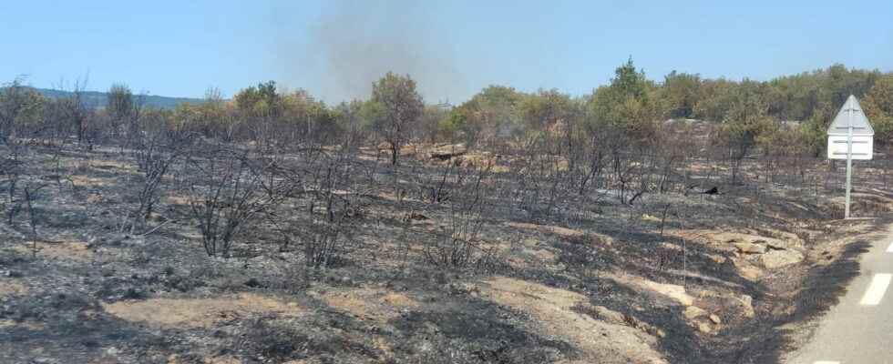 the fire fixed 1000 hectares gone up in smoke