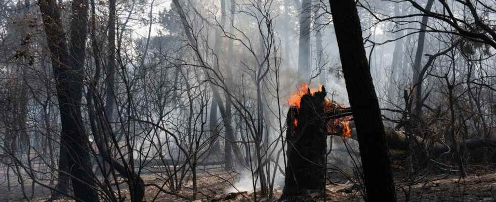 the fire under control and the arsonist in custody