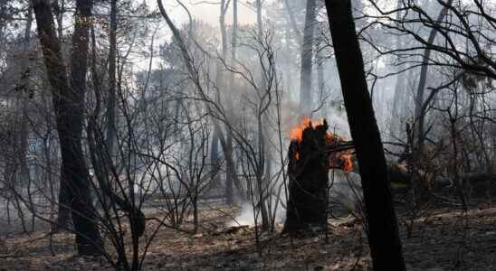 the images of a disaster fires always guarded