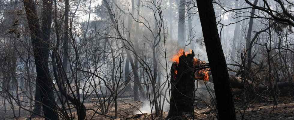 the images of a disaster fires always guarded