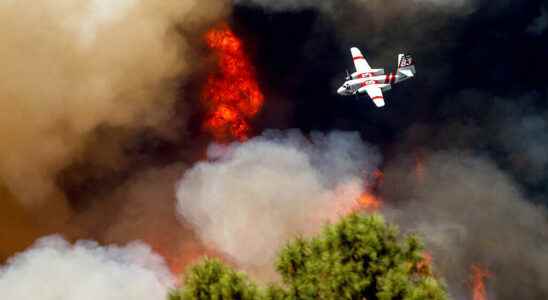 why are redwoods more threatened than before