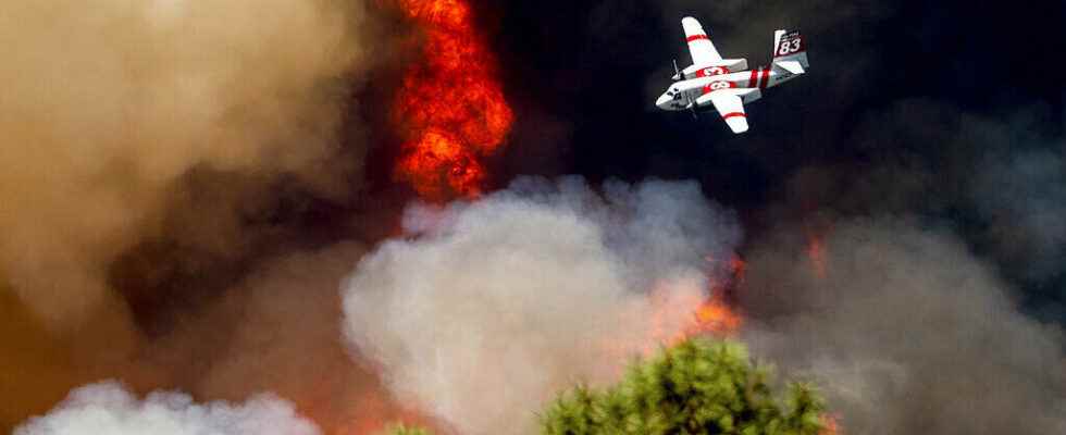 why are redwoods more threatened than before