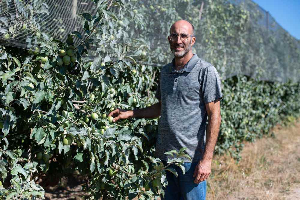 1659328492 787 Drought in the Herault farmers are trying to adapt