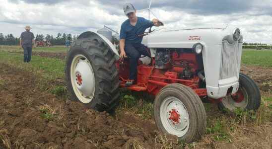 21 competitors at Chatham Kent Plowing Match