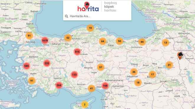 Access block applied for React Havrita