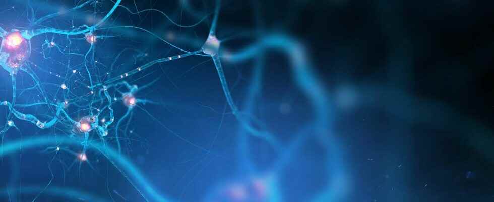 Alzheimers stimulating the production of neurons allows mice to regain