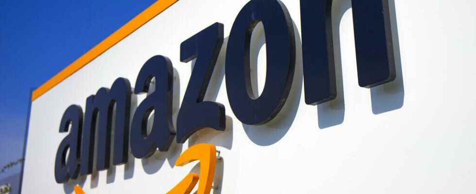 Amazon slammed over literary forgery scandal