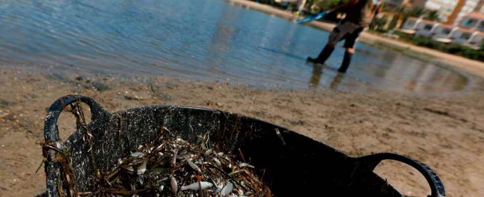 Dangerously hot even in the sea – sick condition