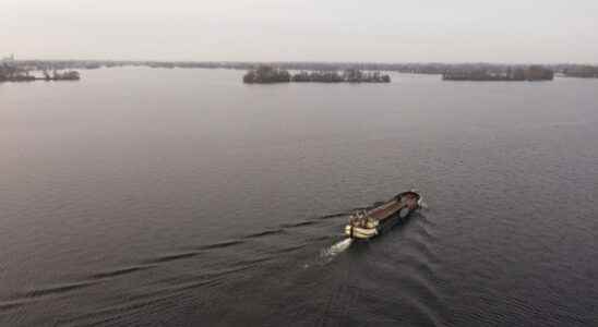 Dead eels in the Vinkeveense Plassen what is going on