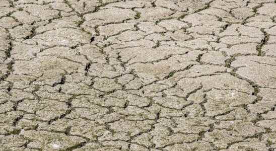 Drought 2022 93 departments on alert map of water restrictions