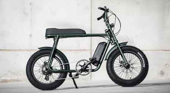 Ecovolt Electric Bicycle Introduced Cepholic