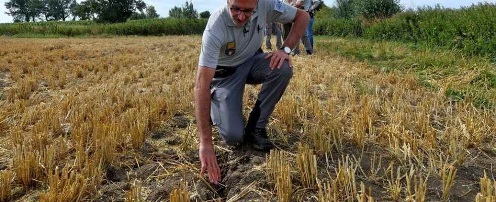 Faced with a record drought French farmers are trying to