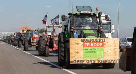 Farmers will campaign during Vuelta Flags banners and a gigantic