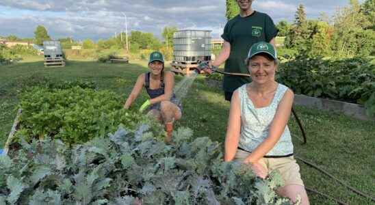 Feeding a neighborhood feeding a community