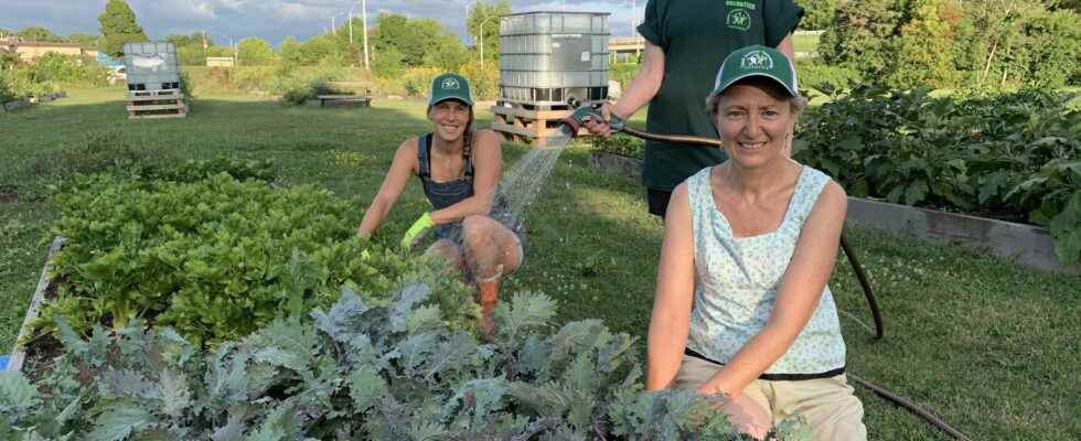 Feeding a neighborhood feeding a community