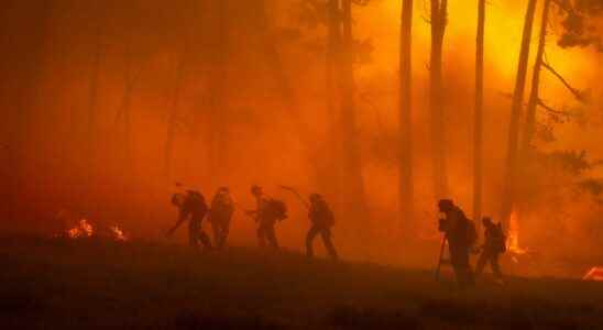 Fires in Gironde 10 football pitches burned per minute