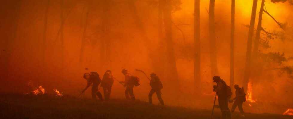 Fires in Gironde 10 football pitches burned per minute