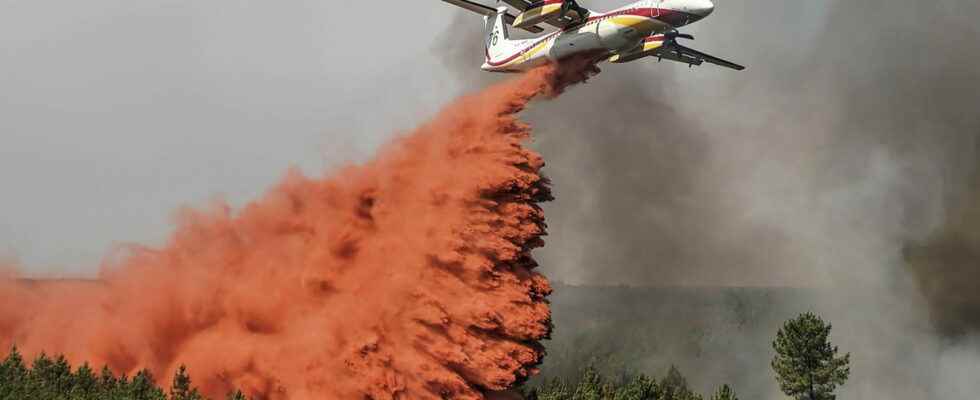 Fires in Gironde 7400 hectares burned the fire is no