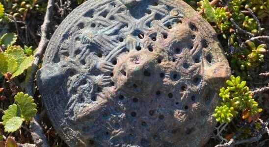 First female Viking graves in the mountains