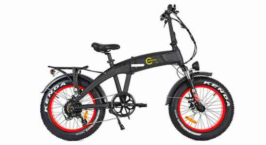 Foldable electric bike Citycoco FatBike Mini