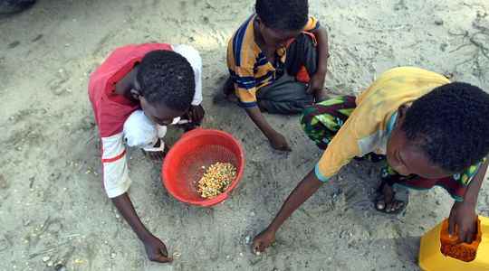 Food crisis from Egypt to Sri Lanka these countries that