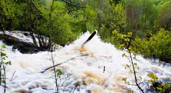 Historically high flows in the Lulealven