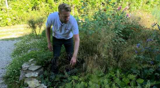 How do you make your withered garden climate proof It