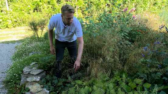 How do you make your withered garden climate proof It