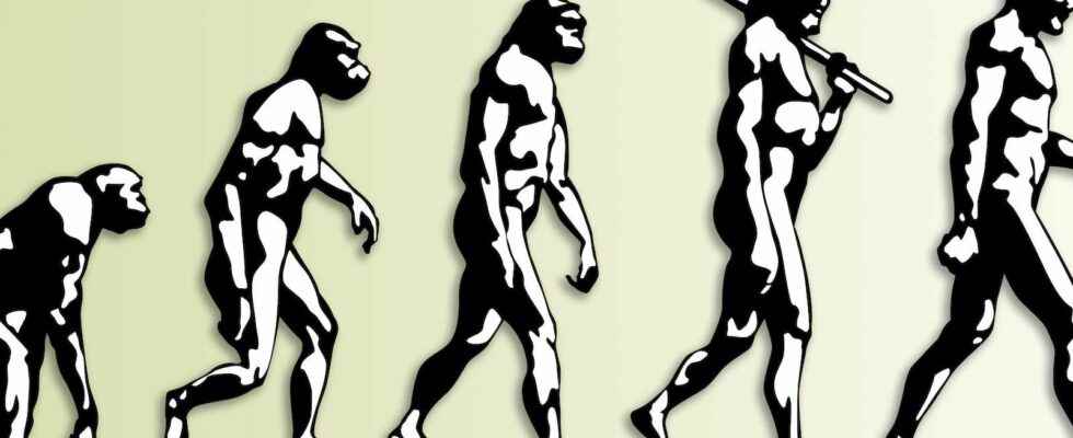 Humans were already bipedal 7 million years ago