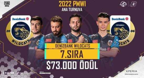 Istanbul Wildcats won 13 million TL at PUBGM World Cup