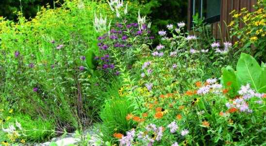 Library hosting fall gardening presentation