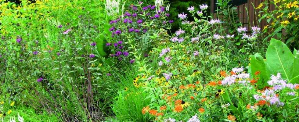 Library hosting fall gardening presentation