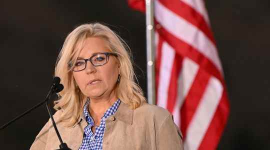 Liz Cheney beaten in Wyoming a new slap for anti Trump