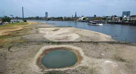 Loire Rhine Thames These European rivers very affected by drought