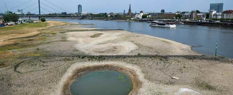 Loire Rhine Thames These European rivers very affected by drought