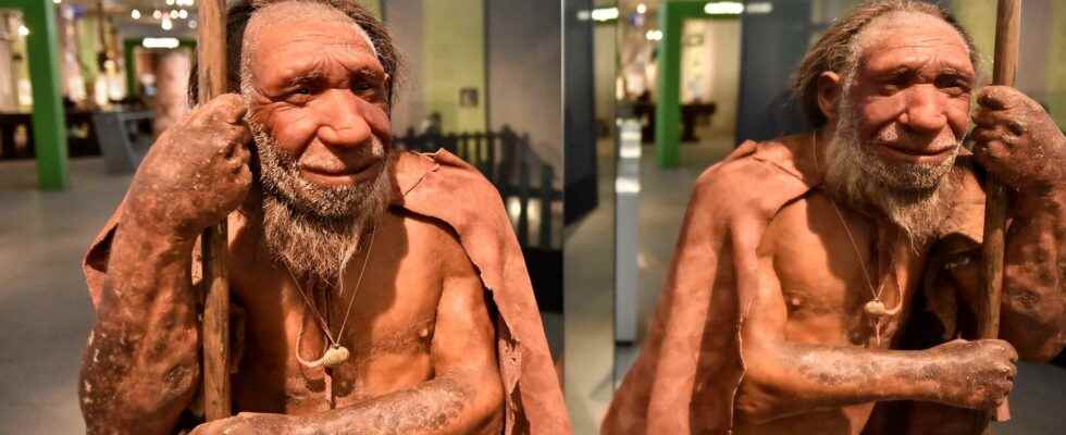 Lower medicine dose if you are more Neanderthal