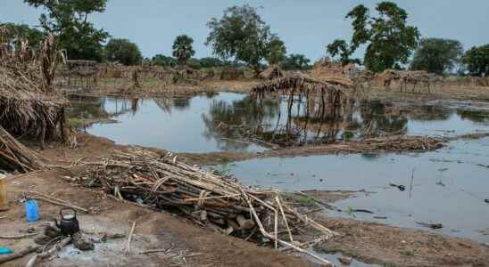 Many dead in floods in Sudan