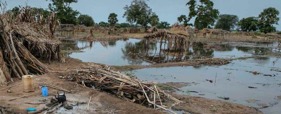 Many dead in floods in Sudan