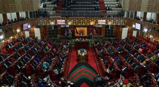 Martin Wanyonyi becomes first man with albinism elected MP