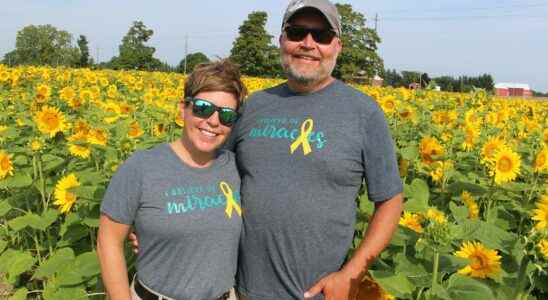 Miracle Maxs Minions sunflower fundraiser returns to Lambton County