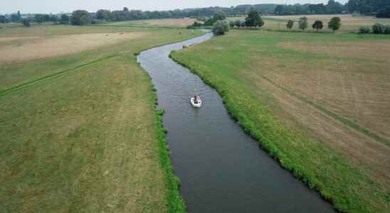 Nature increasingly conflicts with housing but we also have to