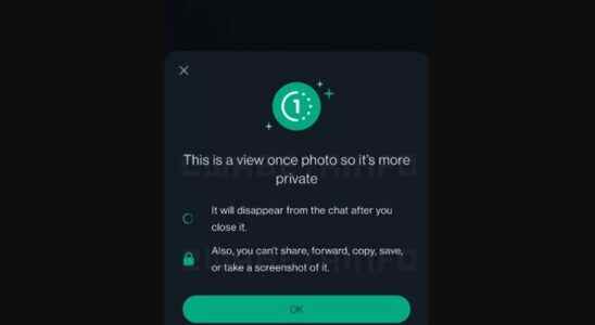 No More Screenshots on WhatsApp Cepholic