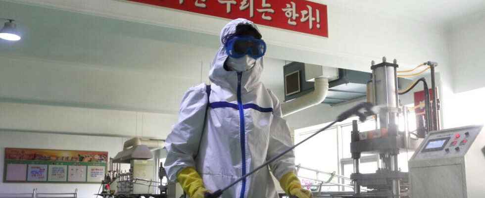 North Korea says all sick are cured