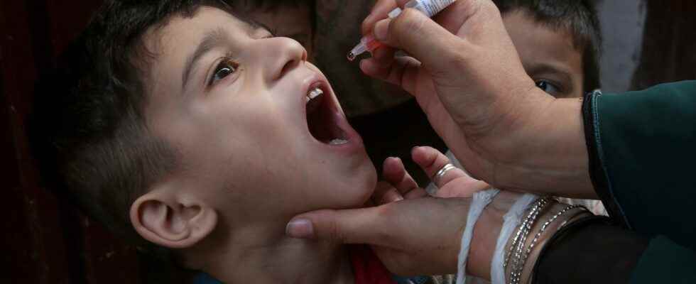 One million London children receive polio boosters