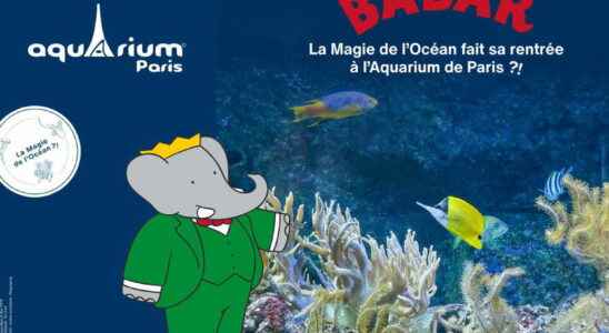 Paris Aquarium Babar is back